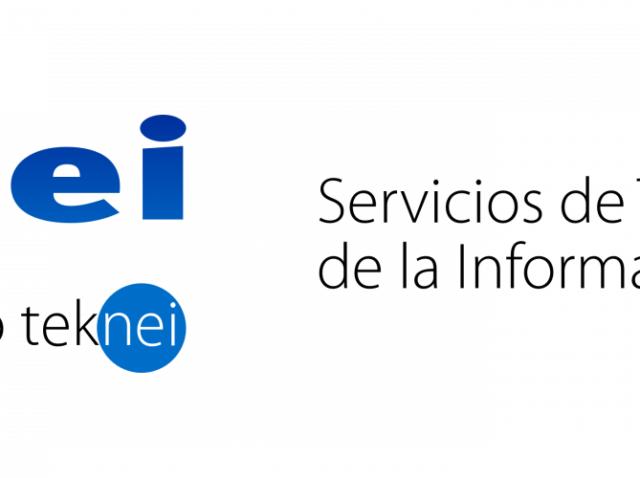 odei. servicios de tecnología de la información